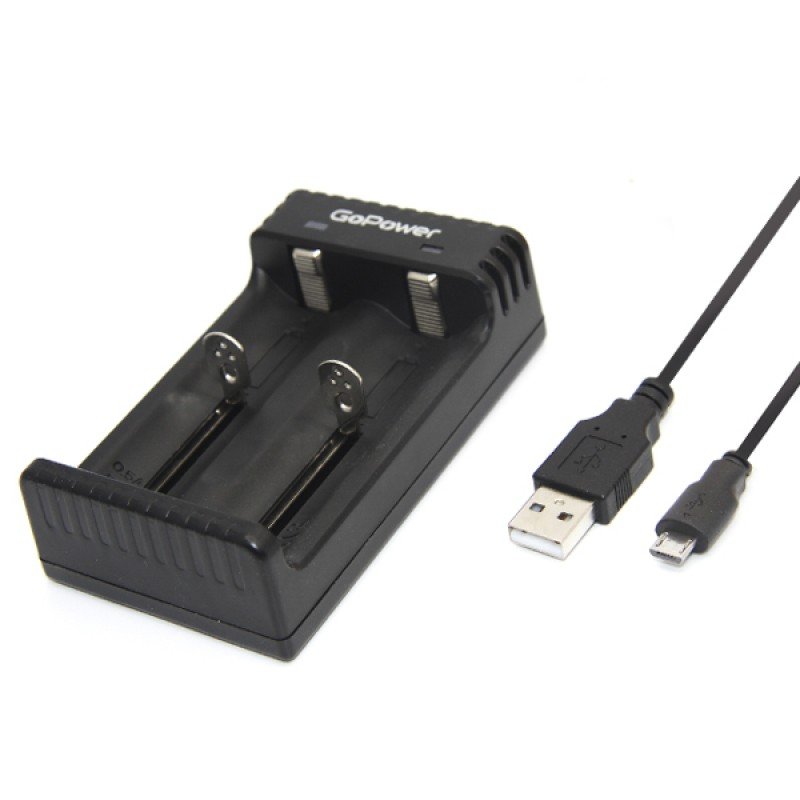00-00015360 LiCharger 4 Зарядное устройство для аккумуляторов Ni-MH/Ni-Cd/Li-ion, 2 слота, GoPower