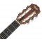 TAYLOR Academy 12-N Academy Series, Layered Sapele, Sitka Spruce Top, Nylon String Grand Concert