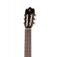804-3С Classical Student 3C Классическая гитара, Alhambra