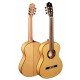 8.896 Green Sustain Flamenco Классическая гитара, Alhambra