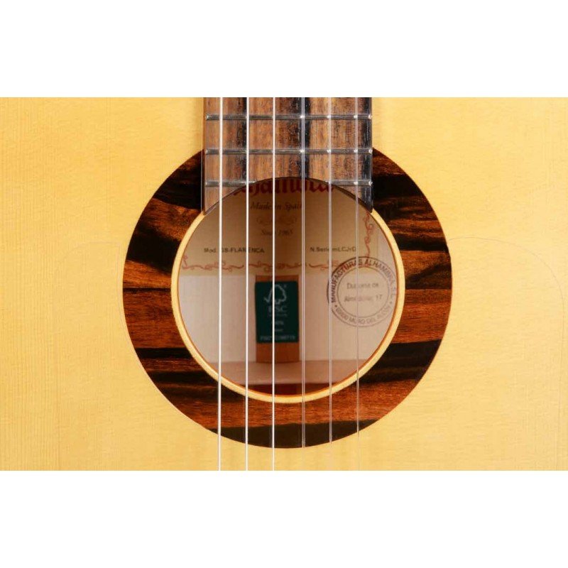 8.896 Green Sustain Flamenco Классическая гитара, Alhambra