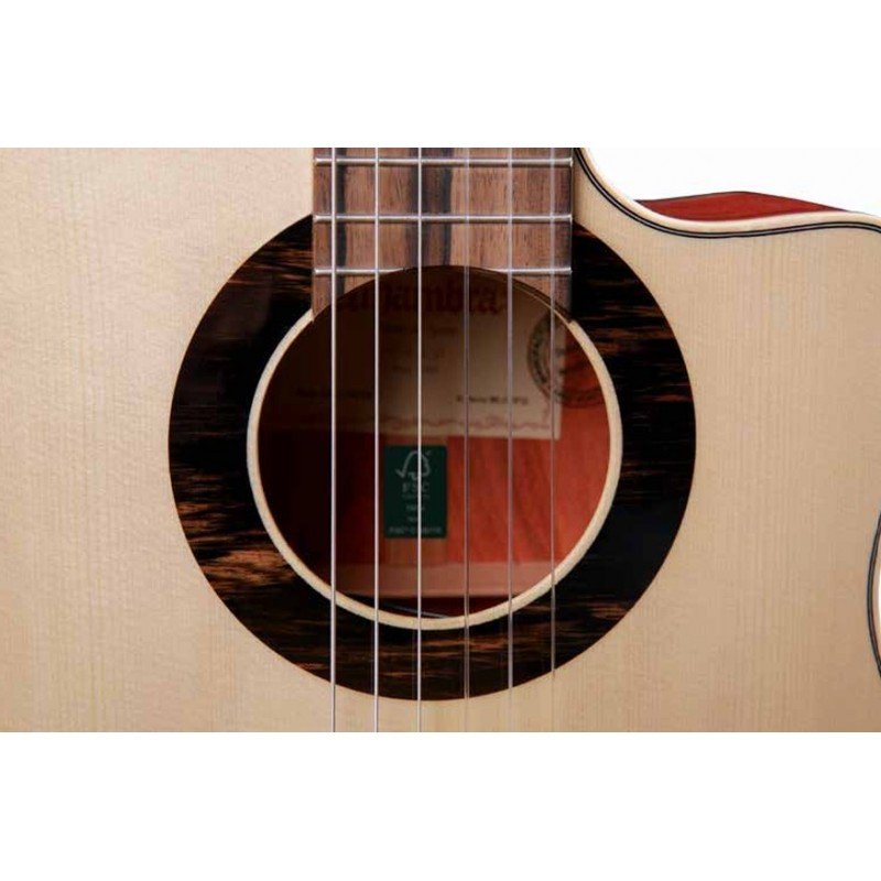 8.897 Green Sustain CTW E8 Классическая гитара со звукоснимателем, Alhambra