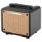 Ibanez T15II Troubadour Acoustic Amplifier усилитель для акустической гитары