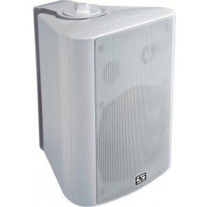 Direct Power Technology WL-160W настенный громкоговоритель Direct Power Technology WL-160W настенный громкоговоритель