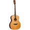 TANGLEWOOD TWJF E электроакустическая гитара, тип корпуса - Folk с электроникой Fishman Presys EQ System, верхняя дека - кедр, к