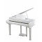 Kurzweil KAG100 WHP