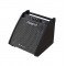 ROLAND PM-200 усилитель для работы с барабанными установками V-Drums