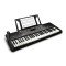ALESIS HARMONY 54 портативный синтезатор, 54 клавиши