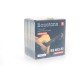 Bosstone BS FB12-53 Комплект из 6-ти струн для акустической гитары Bosstone BS FB12-53 Комплект из 6-ти струн для акустической гитары
