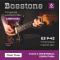 Bosstone ES 9-42 Струны для электрогитары из стали с никелевым покрытием