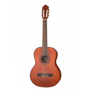 CG320-4/4 Классическая гитара, 39", Naranda