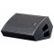 DAS Audio Action M12 Монитор сценический пассивный