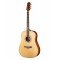 DG305SNA Акустическая гитара Naranda