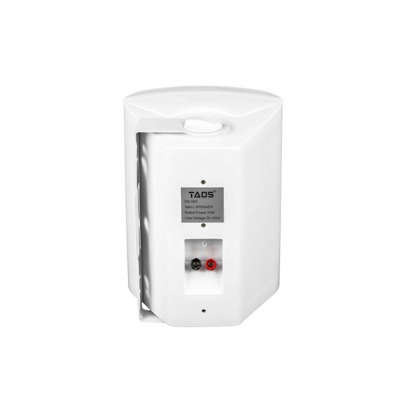 DS-503 Громкоговоритель настенный, 30Вт, TADS