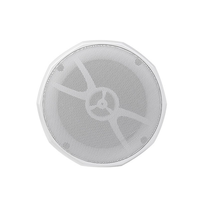 DSP5053W Потолочный громкоговоритель, подвесной, белый, 30Вт, DSPPA
