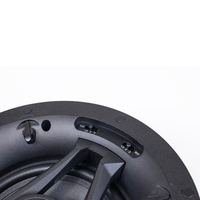 DSP6030 Потолочный громкоговоритель, 40Вт, DSPPA