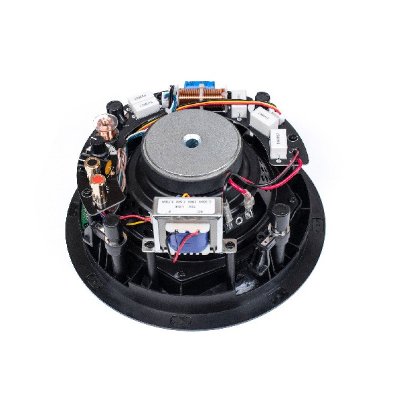 DSP6030 Потолочный громкоговоритель, 40Вт, DSPPA