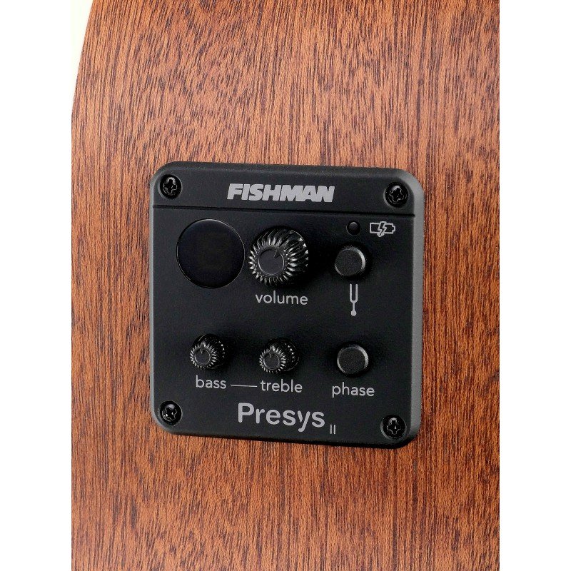 GA28-WBAG-GT Электро-акустическая гитара, с вырезом, цвет натуральный, с чехлом, Parkwood GA28-WBAG-GT Электро-акустическая гитара, с вырезом, цвет натуральный, с чехлом, Parkwood