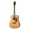 Gold-D6-50th-WCASE-NAT Gold Series Акустическая гитара, Cort