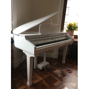 Grand-120-WHITE Цифровой рояль, с автоаккомпанементом, белый (2 коробки), Orla