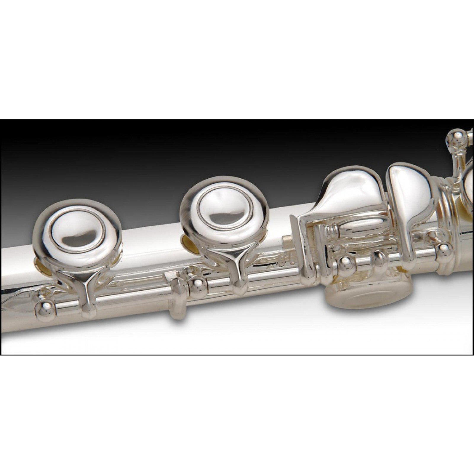 Флейта john packer jp111. Флейта john packer jp111. Флейта john packer jp011ch c, посеребренная. Флейта john packer. Флейта john packer jp011.