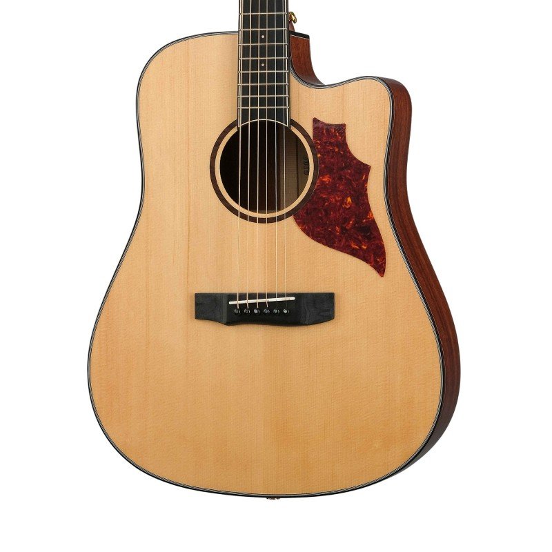 JWGT-02 Гитара акустическая, Joyo