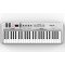 KS49B MIDI-контроллер, 49 клавиш, LAudio