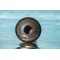KSY.22.C.e9 Глюкофон 22см, гравировка «Триксель», полукруглые лепестки, Kosmosky