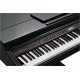 Kurzweil KAG100 EP Цифровой рояль