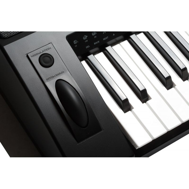 Kurzweil KP200 LB Синтезатор