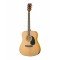 LF-4111-N Акустическая гитара HOMAGE