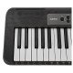 LK-S250 Синтезатор 61 клавиша, черный, Casio