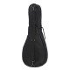 LUC-2 УК2 Чехол для укулеле концертного Lutner