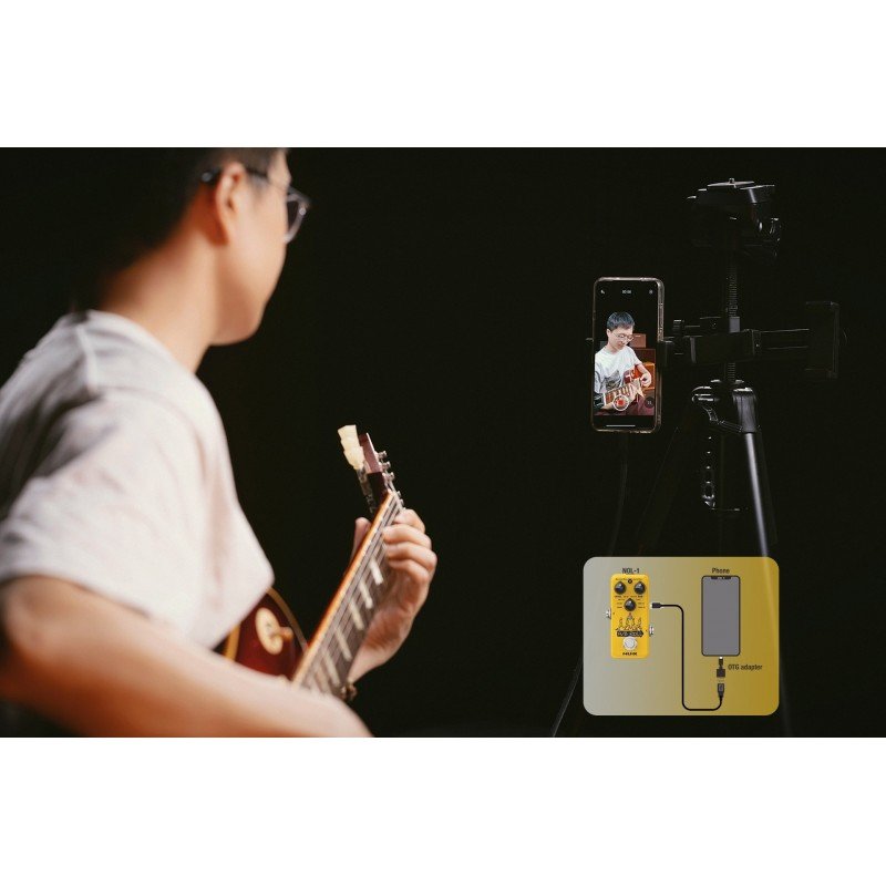 NOL-1 A/B Roll Octave & Loop Педаль эффектов, Nux