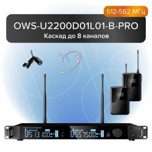 OWS-U2200D01L01-B-PRO Двухканальная радиосистема, головной и петличный микрофон, Октава