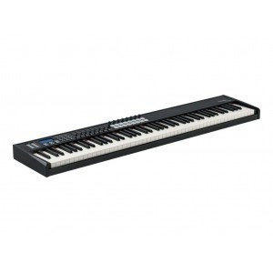 P-88-PRO MIDI-контроллер, 88 клавиш, LAudio P-88-PRO MIDI-контроллер, 88 клавиш, LAudio
