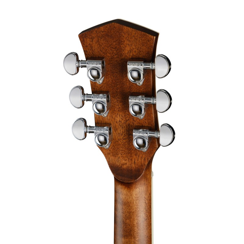 P620-WCASE-NAT Акустическая гитара, с футляром, Parkwood