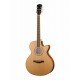 P670-WCASE-NAT Электро-акустическая гитара, с вырезом, с футляром, Parkwood