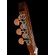 PC110-WBAG-OP Электро-акустическая классическая гитара, с вырезом, с футляром, Parkwood