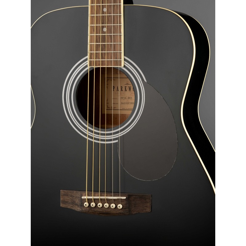 PF51-WBAG-BKS Акустическая гитара с чехлом, Parkwood