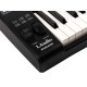 Panda-25C MIDI-контроллер, 25 клавиш, LAudio