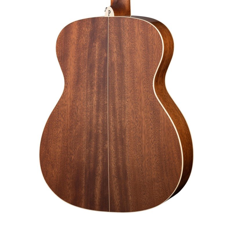 S62-W/B Акустическая гитара, с чехлом, Parkwood