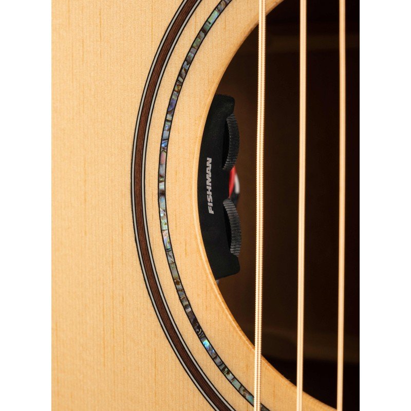 S62-W/B Акустическая гитара, с чехлом, Parkwood