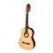 SM604 Классическая гитара 4/4, Hora