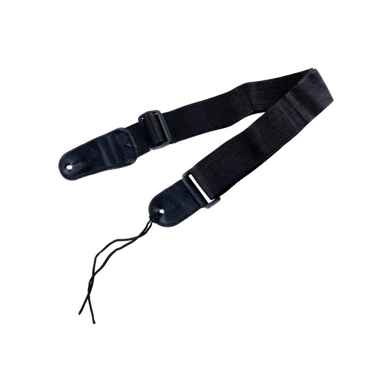 ST-RISE-AMP5 Комбоусилитель 5Вт, Sunsmile