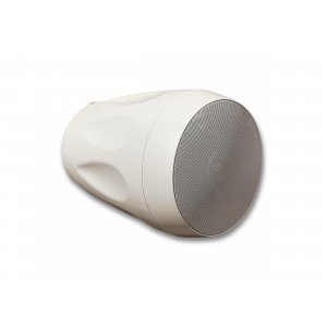 SVS Audiotechnik BWS-60W Всепогодная трансляционная акустическая система