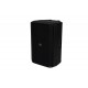 SVS Audiotechnik SP-15A DSP Акустическая система активная