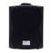 SVS Audiotechnik WS-20 Black Громкоговоритель настенный