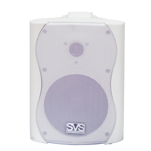SVS Audiotechnik WS-30 White Громкоговоритель настенный