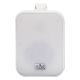 SVS Audiotechnik WSP-40 White Громкоговоритель настенный SVS Audiotechnik WSP-40 White Громкоговоритель настенный